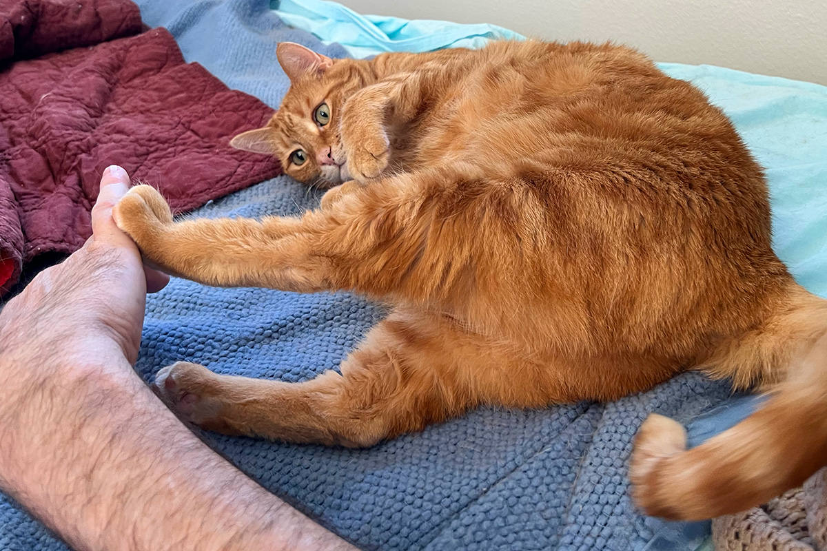 Jenny DOES NOT WANT belly rubs!