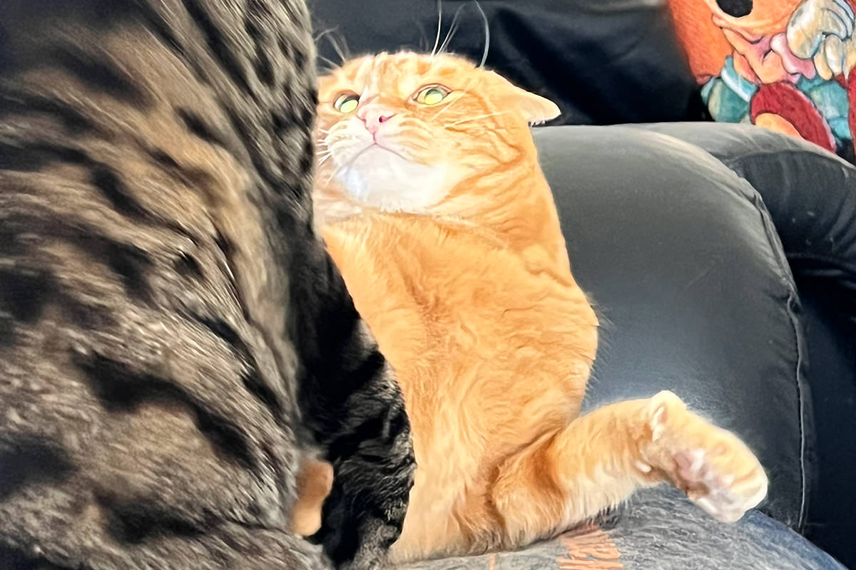 Jenny has claws out.