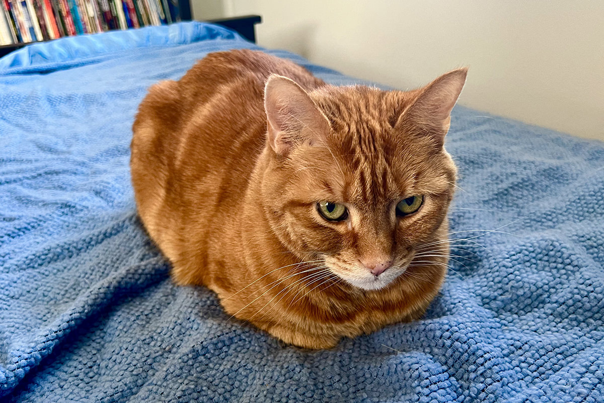Jenny looking like a loaf of bread!
