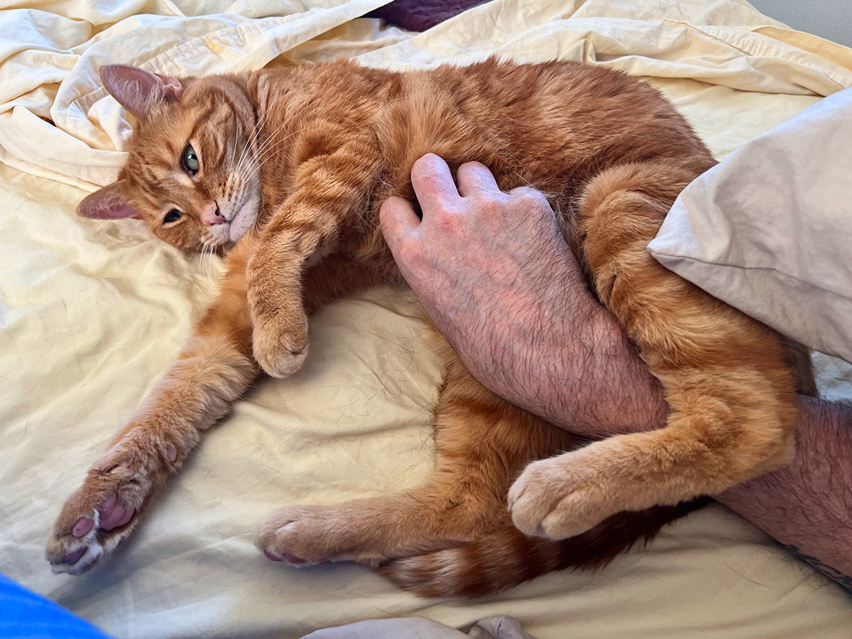 Jenny not being happy about my belly rub game.