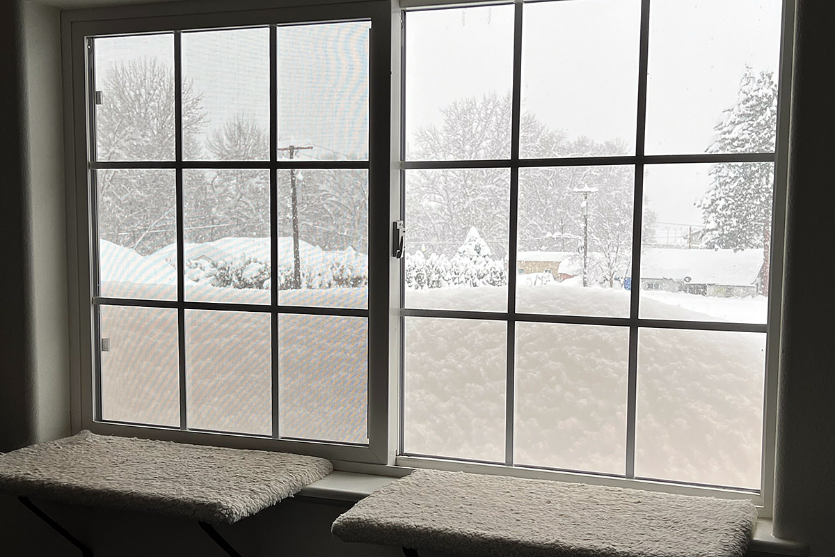 Snow Piled Up in My Window!