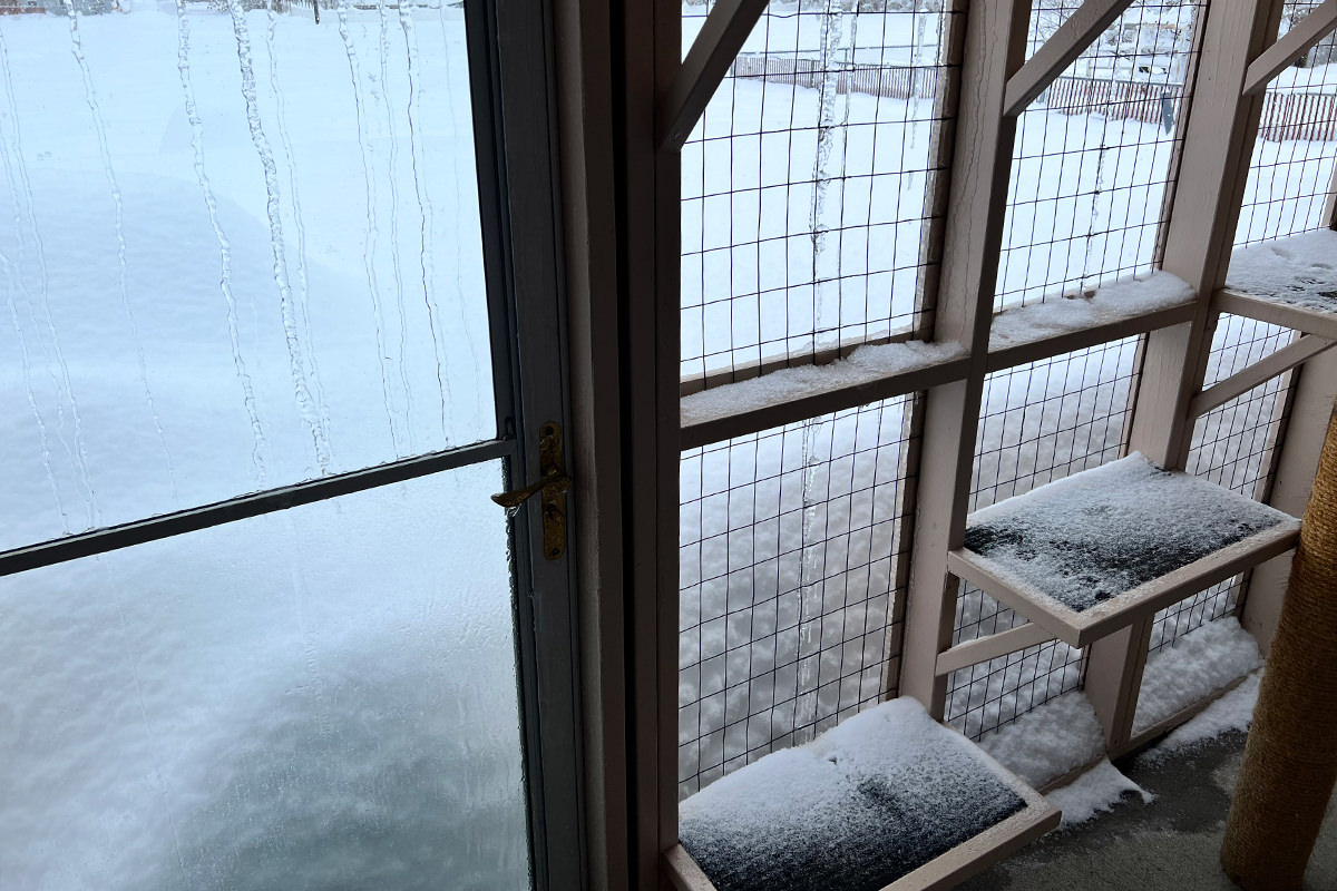 Snow Piled Up in Front of my Catio!