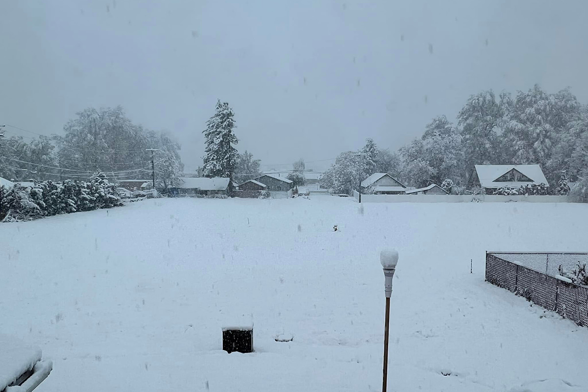 Heavy snows out my window.