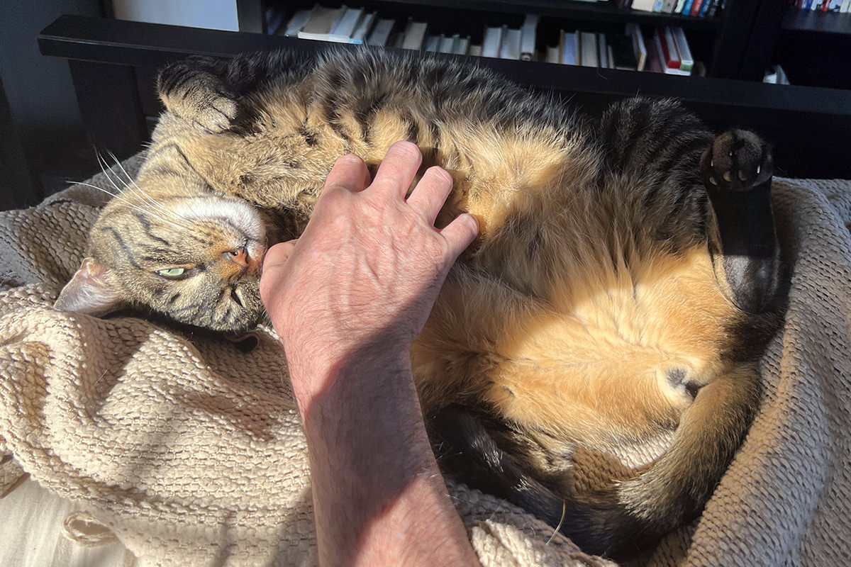 Jake in the sunshine.