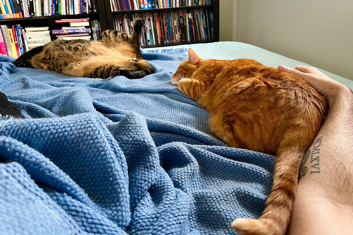 Jake and Jenny laying down with me.