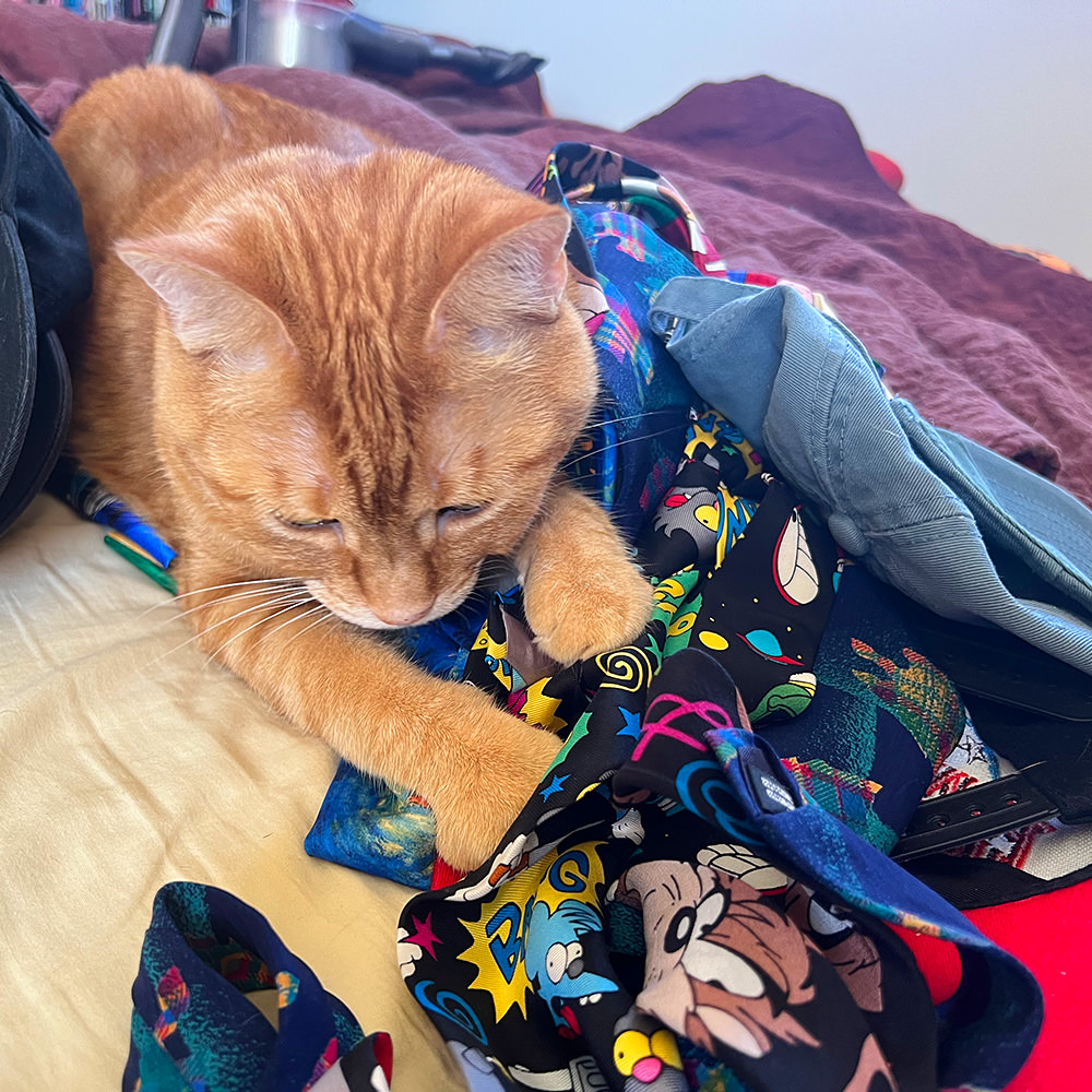 Jenny Attacks My Ties