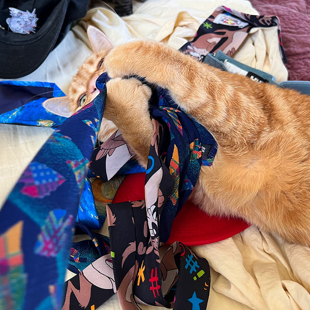 Jenny Attacks My Ties