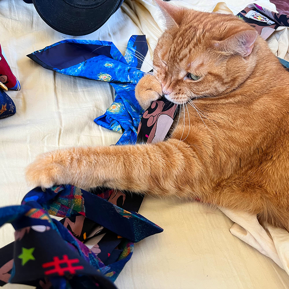 Jenny Attacks My Ties