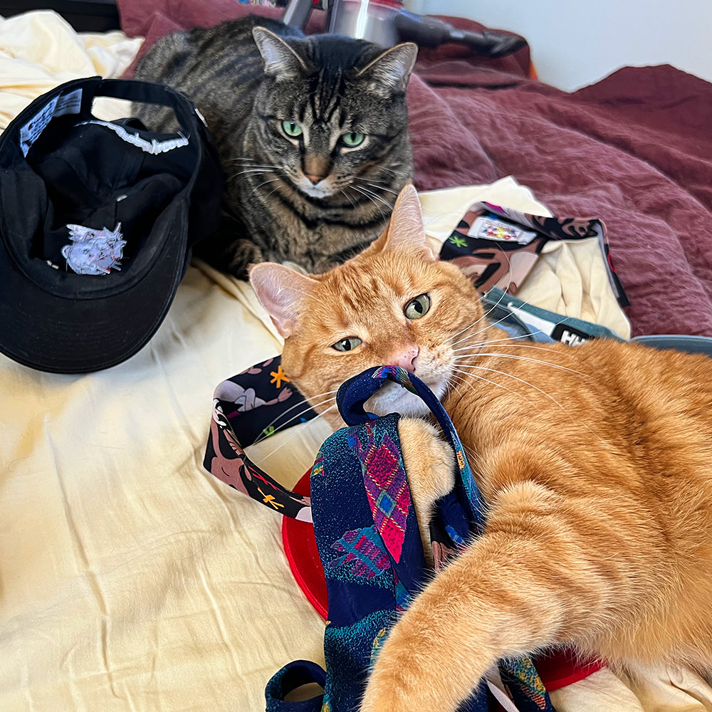 Jenny Attacks My Ties