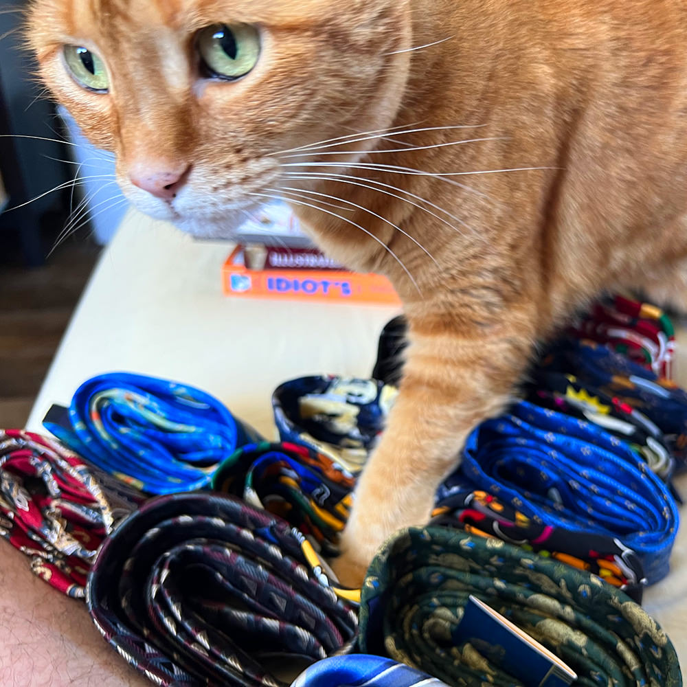 Jenny Attacks My Ties