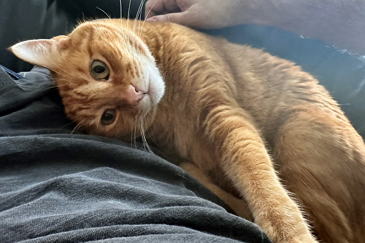 Jenny gets comfortable snuggling up against me.
