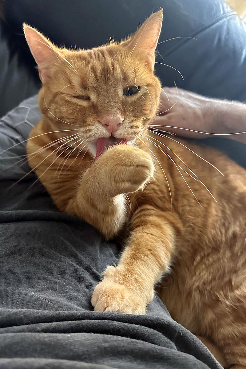 Jenny with her claws out.