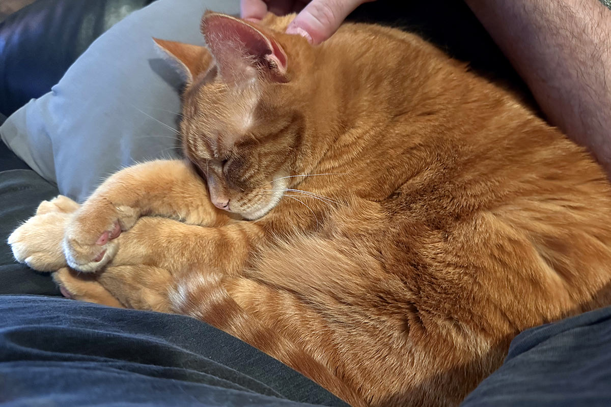Jenny sleeping next to me.