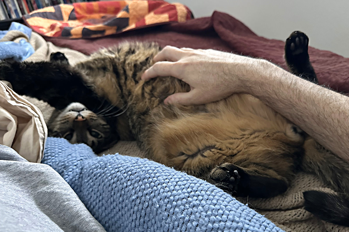 Jake getting a belly rub.