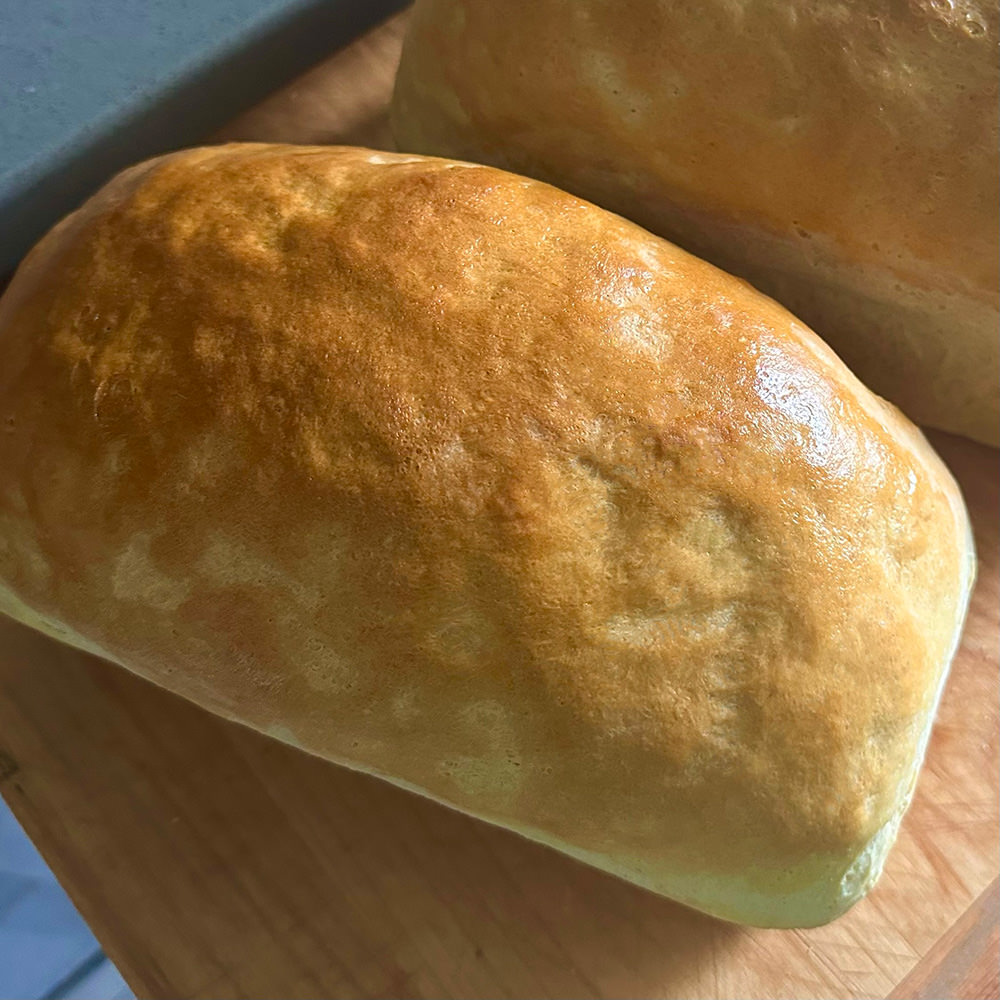 Bread dough in a bowl rising