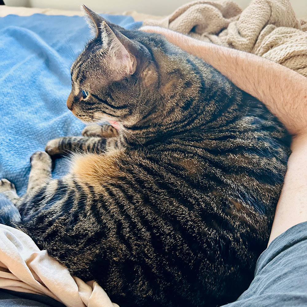 Jake curled up next to me watching TV!