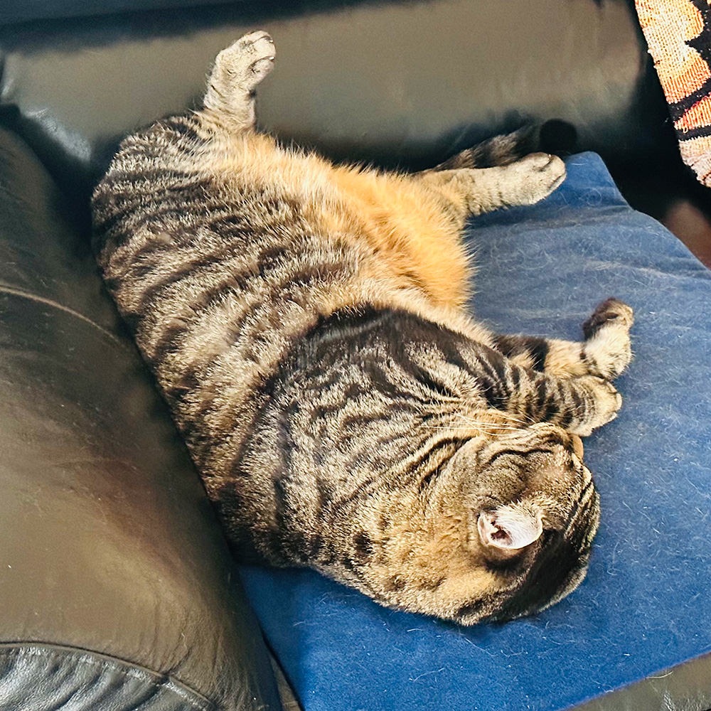 Jake Sleeping