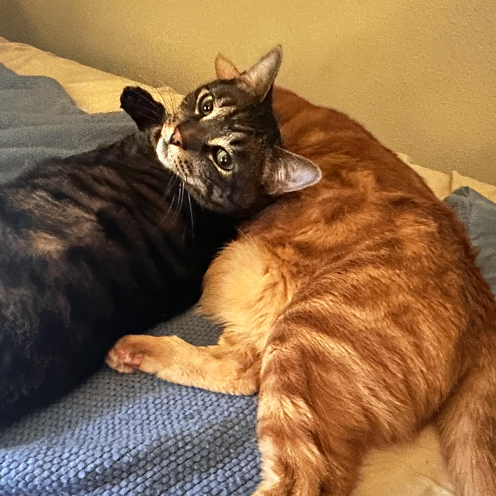 Jake using Jenny as a pillow.