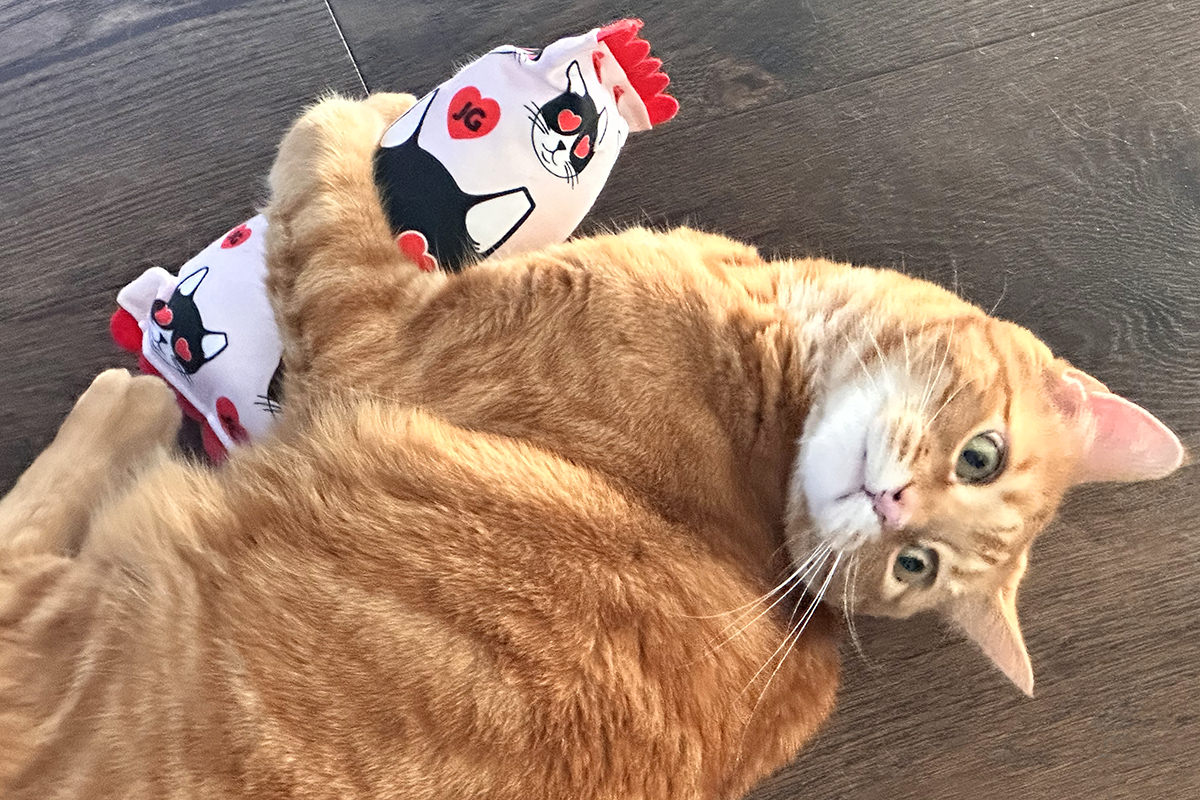 Jenny with her catnip kicker.