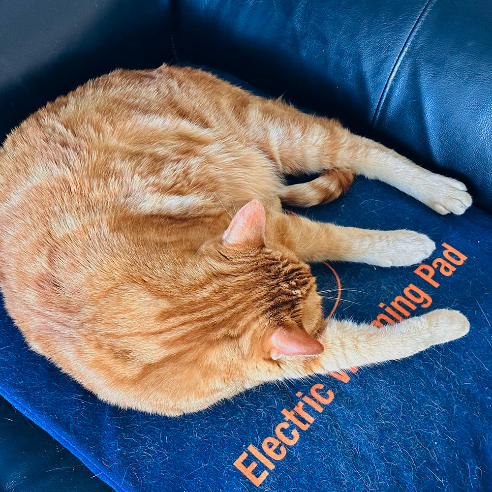 Jenny Sleeping