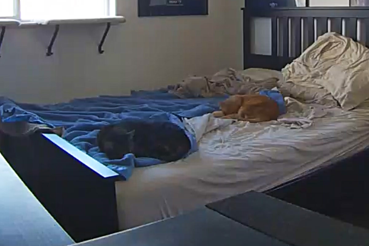 Jake and Jenny Sleeping