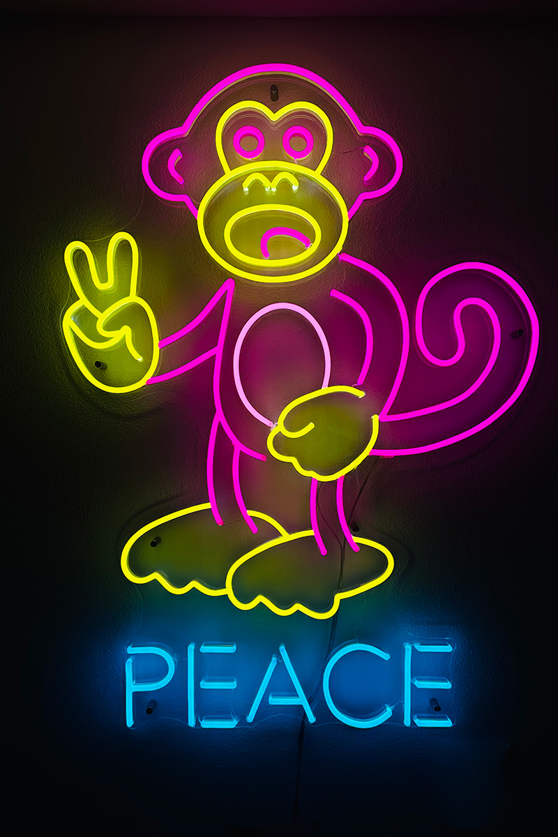 Bad Monkey in Neon