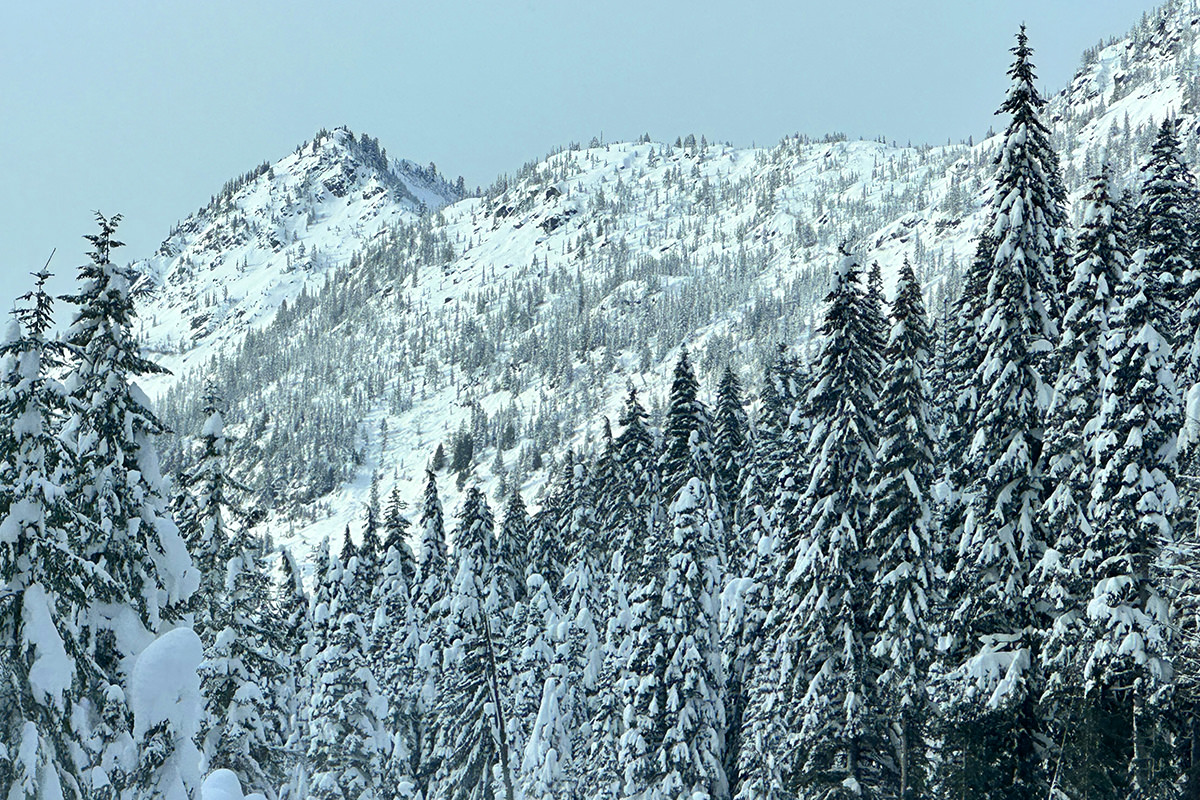 My snowy mountain drive.