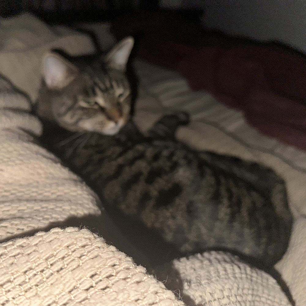 Jake next to me at night.