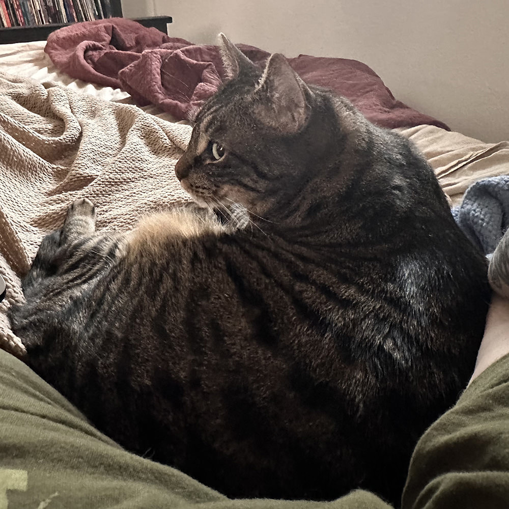 Jake next to me in the morning.
