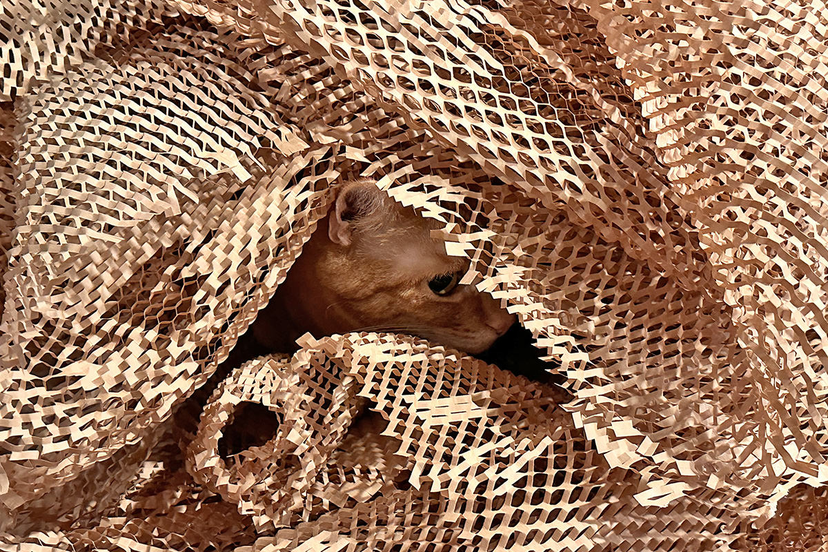 Jenny in the paper pile.