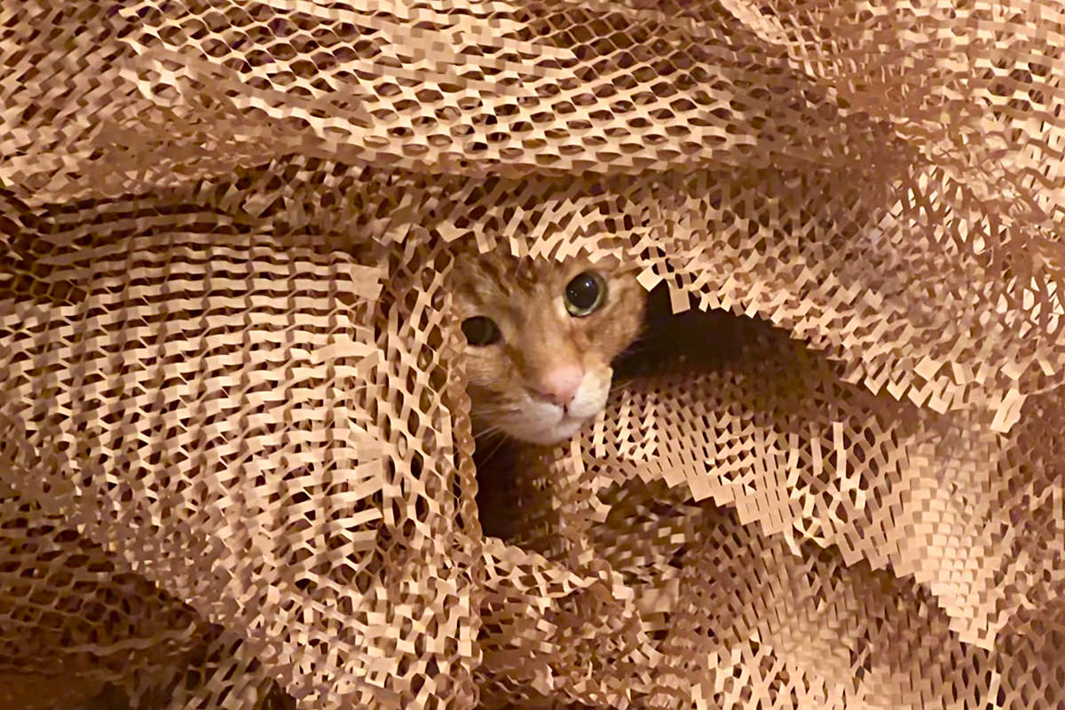 Jenny in the paper pile.