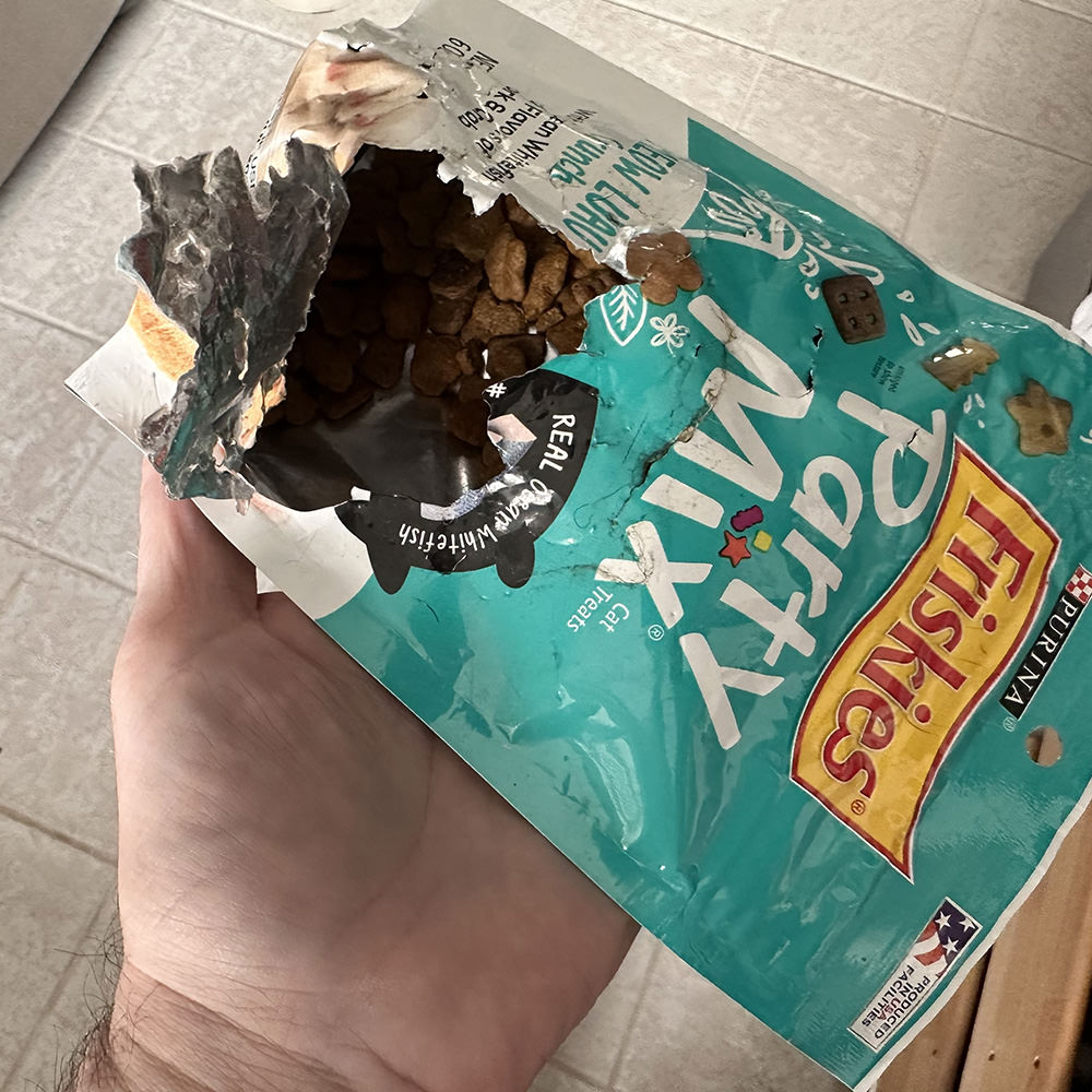 Cat treat massacre!