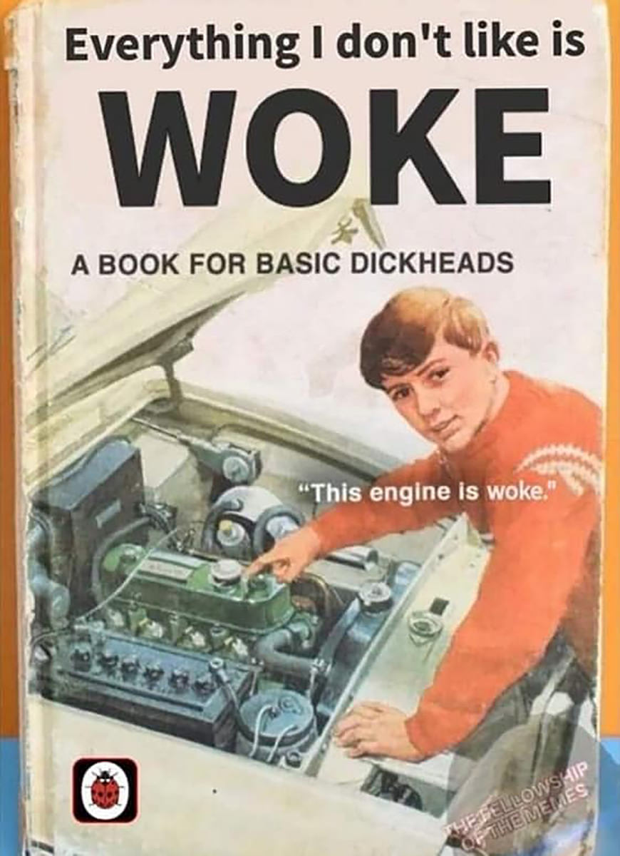 A book cover which is titled 'Everything I don't like is WOKE... a book for basic dickheads' while a kid is working on a car engine while saying THIS ENGINE IS WOKE!