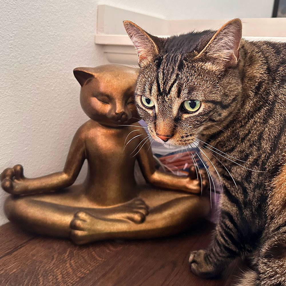 Jake with Buddah Cat.