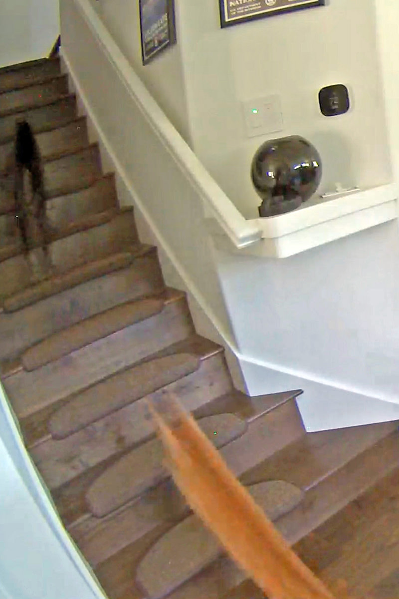 Jenny chasing Jake up the stairs.