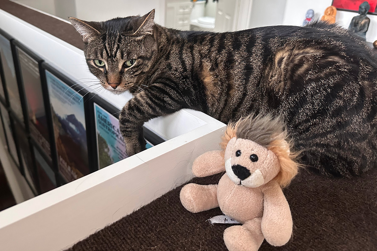 Mufasa sitting by Jake.