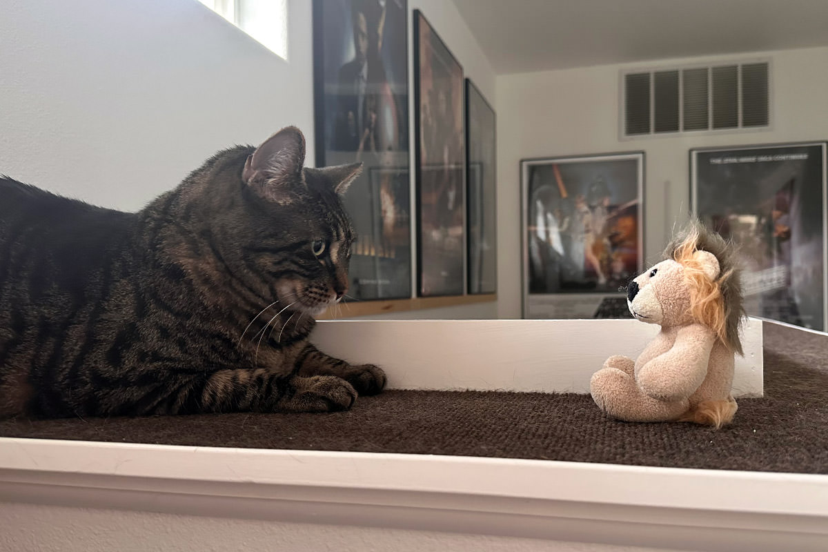 Mufasa sitting by Jake.