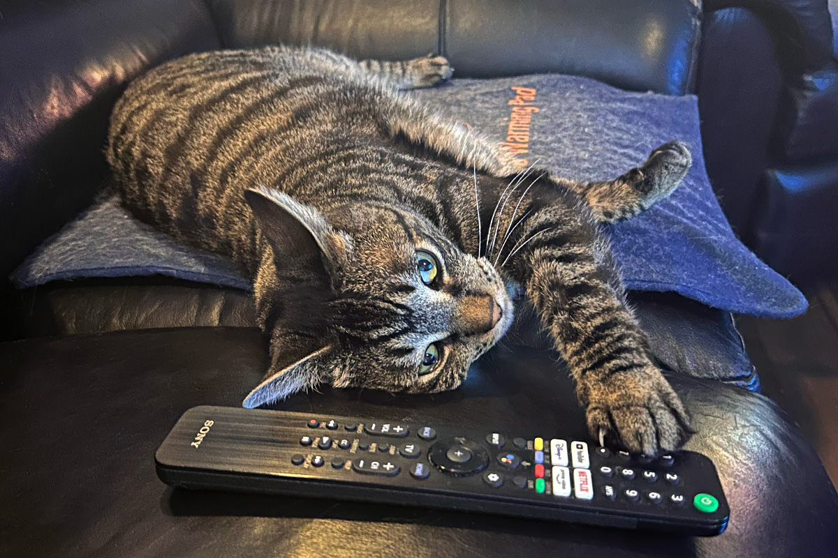 Jake reaching for the remote!