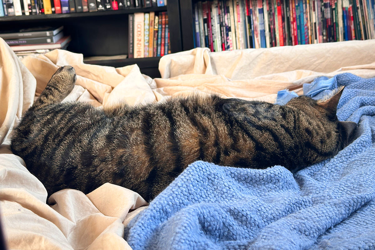 Jake kicking me off the bed