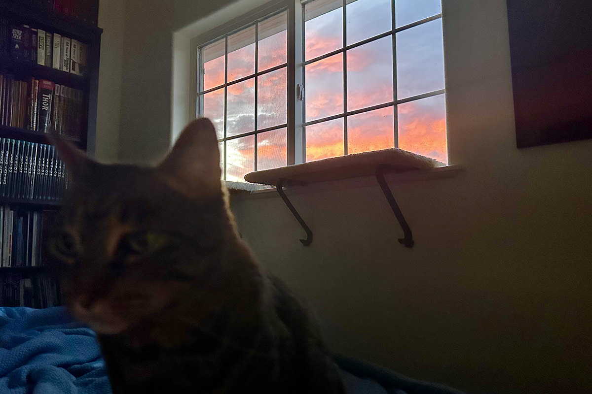 Jake sitting next to me while a beautiful sunset is going on behind him.