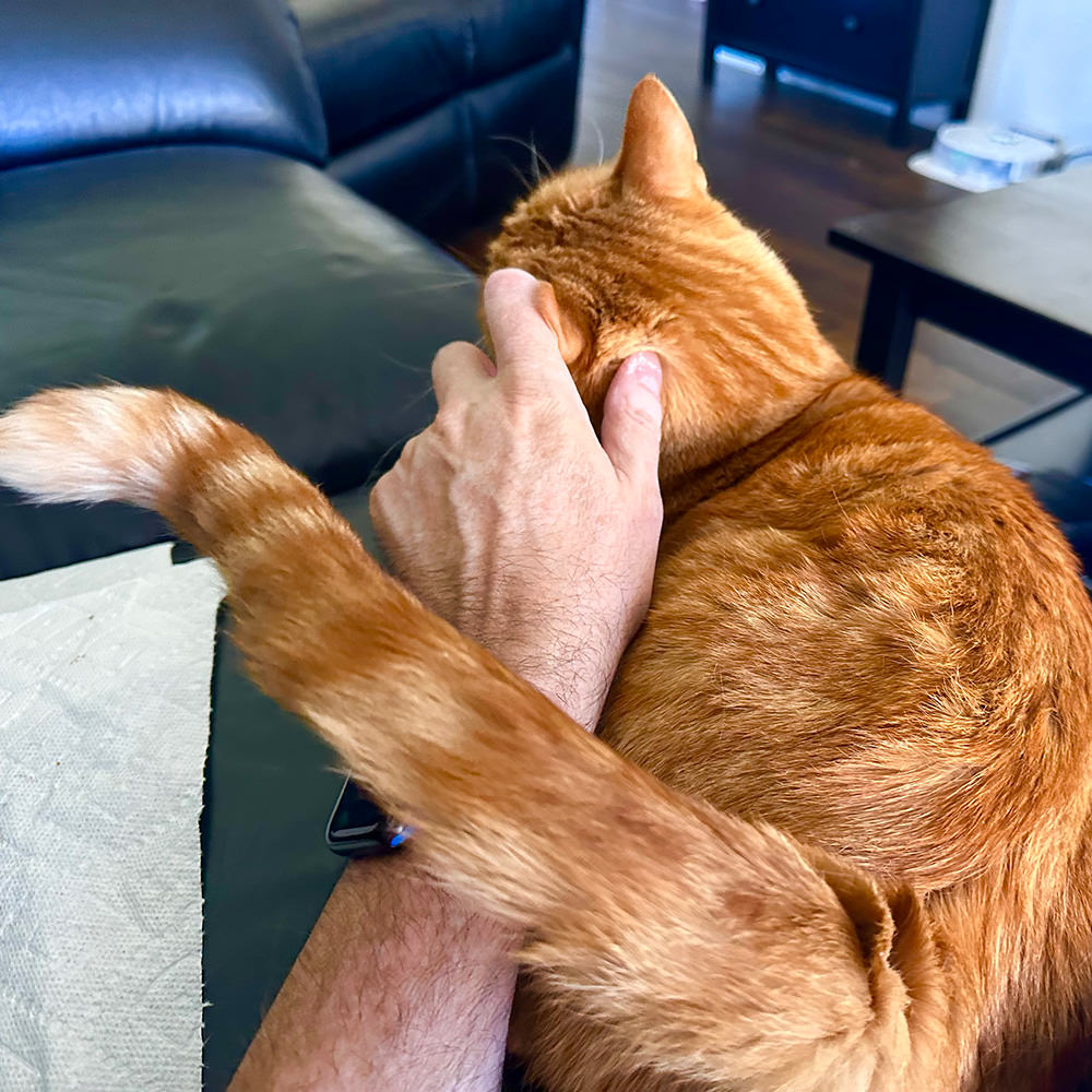Jenny getting ear scratches.