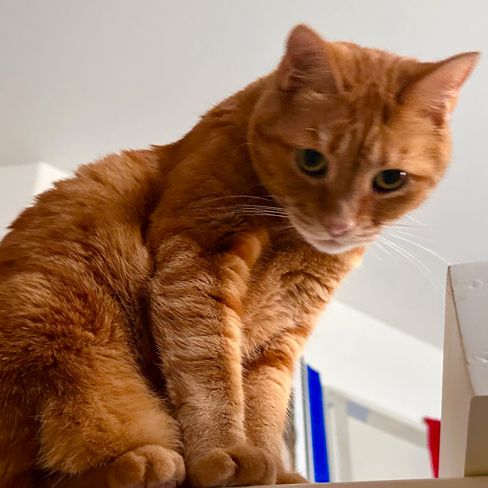 Jenny looking cute.