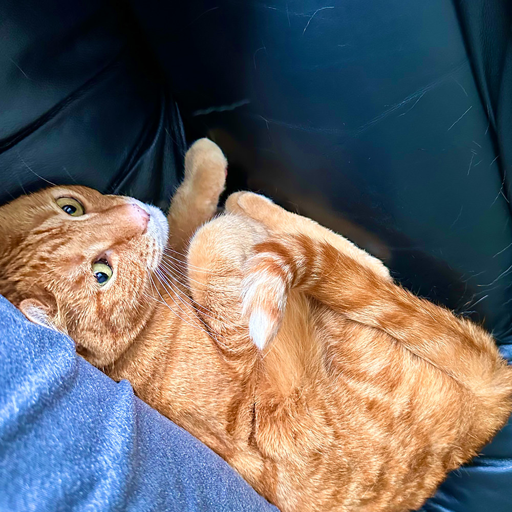 Jenny Squishing beside me.