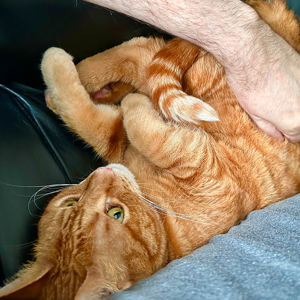 Jenny Squishing beside me.