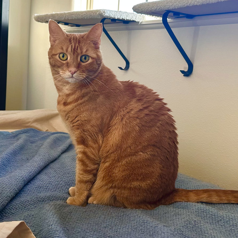 Jenny on the Bed Waiting for Breakfast.
