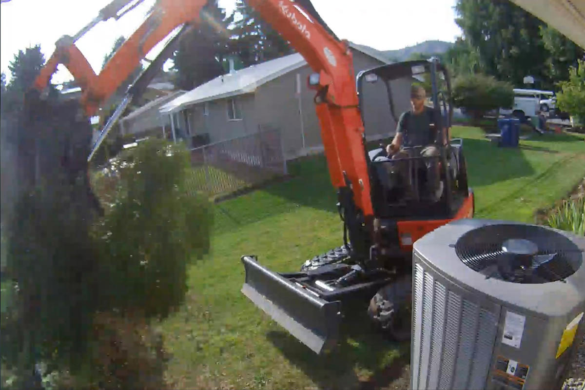 Removing the shrubs!