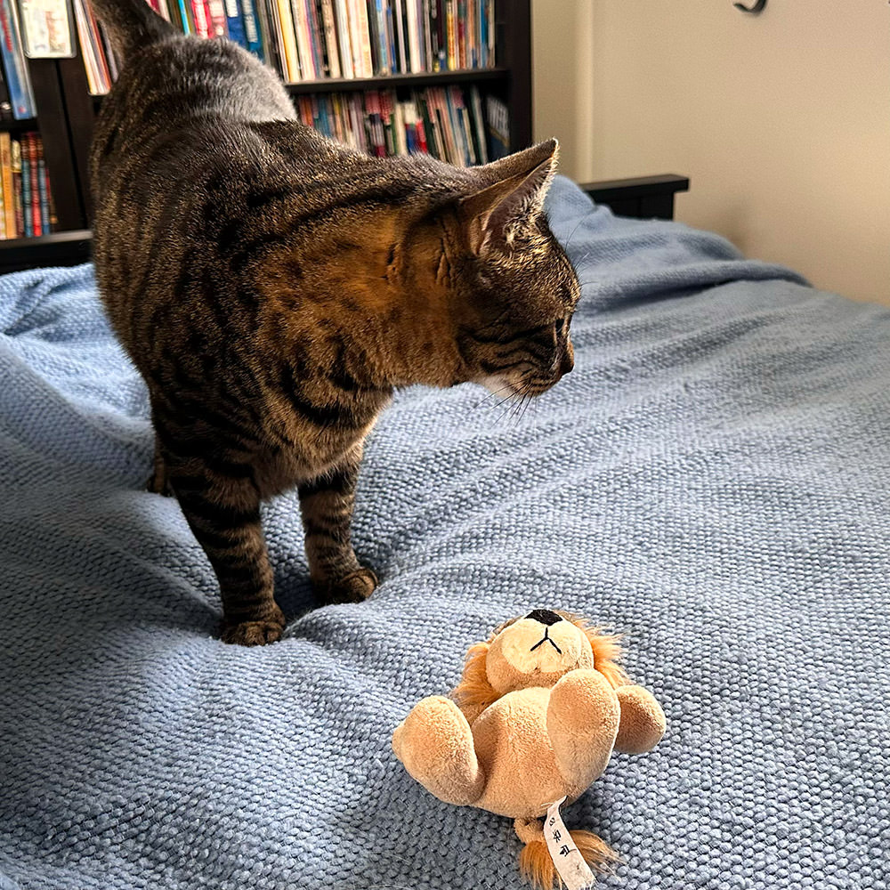 Jake dropping off Mufasa his toy lion.