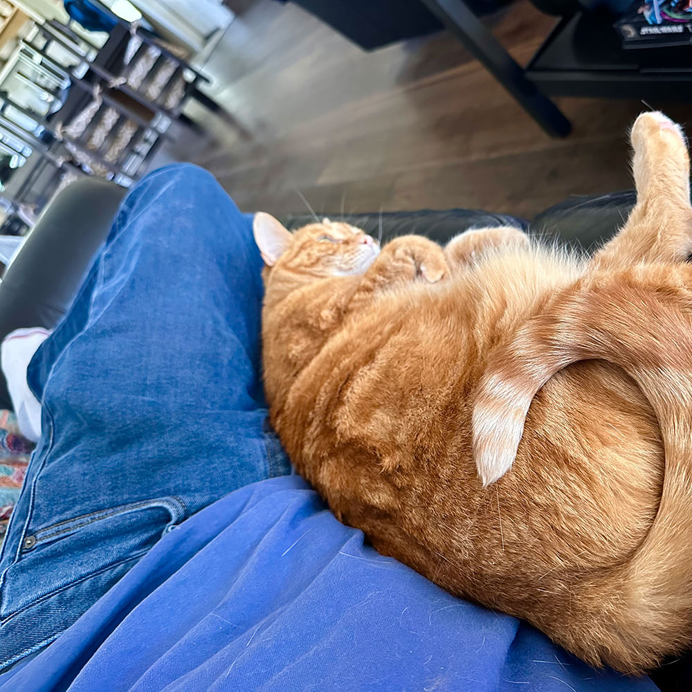 Jenny napping with me.
