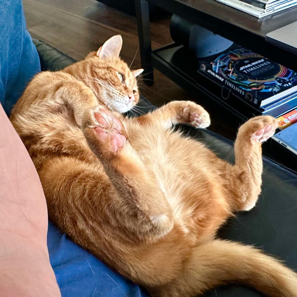 Jenny napping with me.