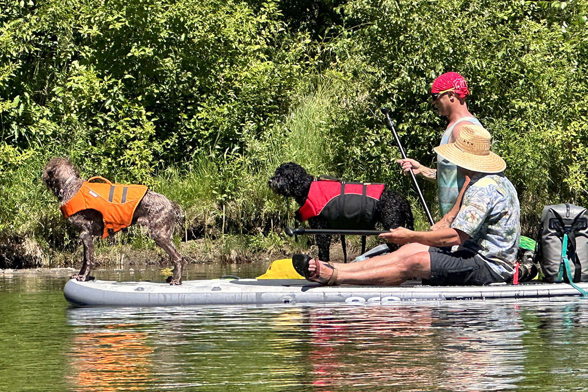 Floatin' Puppers!